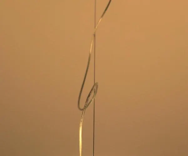 Porta Terra - Centro Storico アルゲーロ